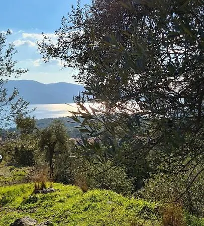 Amber Akyaka * Ula