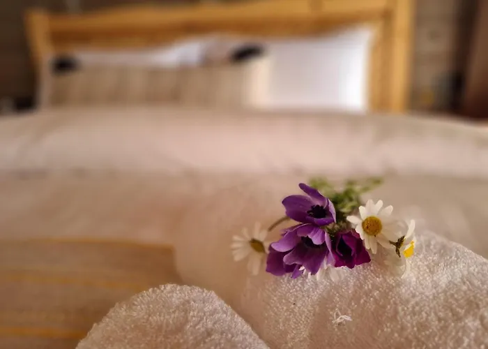 Amber Akyaka 別荘 *